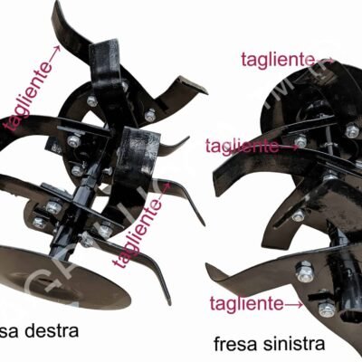 alt=fresa con descrizioni 2000x1497