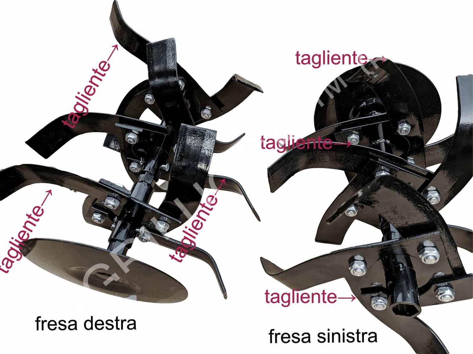 alt=fresa con descrizioni 2000x1497